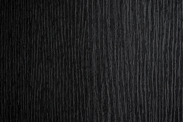 Negro-Forest_600x400